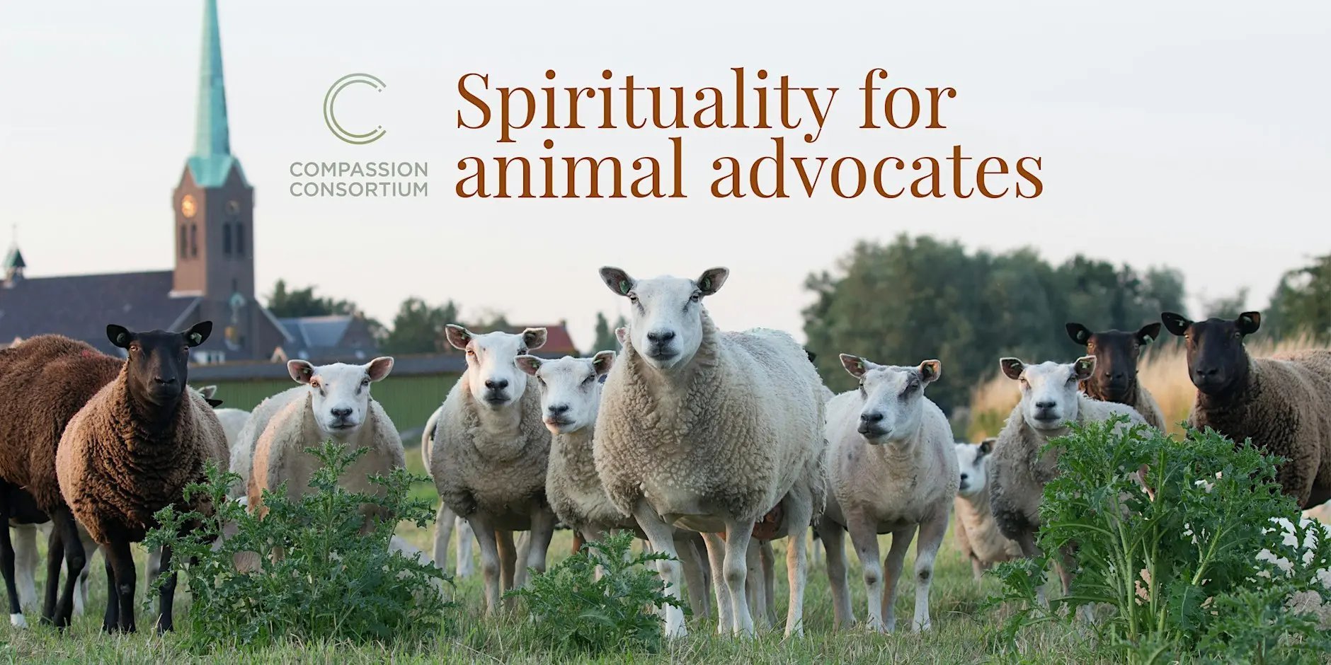 Spirituality for Animal Advocates & Vegans